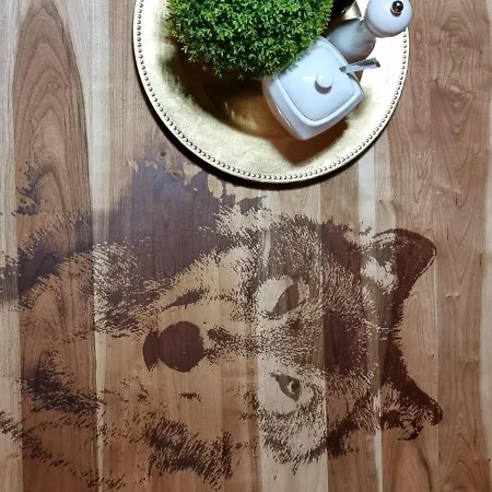 Farm stay Mysliwska Stas I Nel Bystrzyca Klodzka