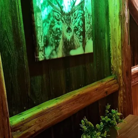 Mysliwska Stas I Nel 팜스테이 *