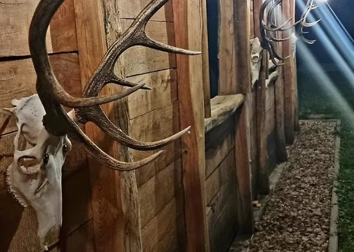 Mysliwska Stas I Nel Bauernhof